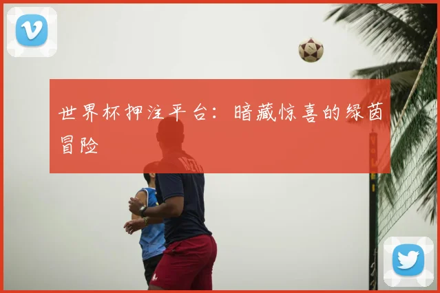 世界杯押注平台：暗藏惊喜的绿茵冒险