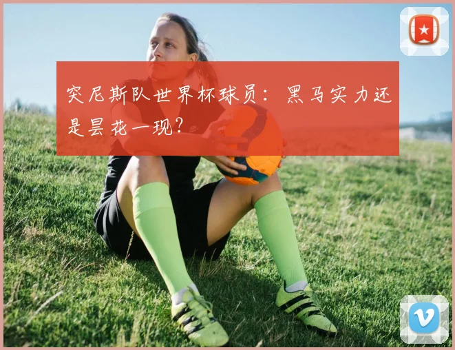 突尼斯队世界杯球员：黑马实力还是昙花一现？
