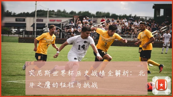 突尼斯世界杯历史战绩全解析：北非之鹰的征程与挑战
