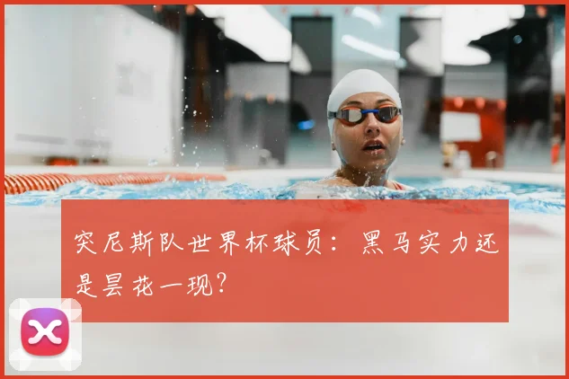 突尼斯队世界杯球员：黑马实力还是昙花一现？